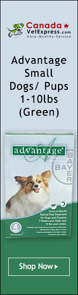 canadavetexpress.com logo