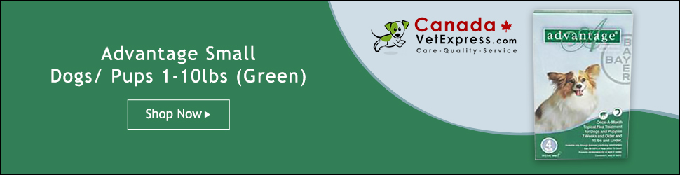 canadavetexpress.com logo