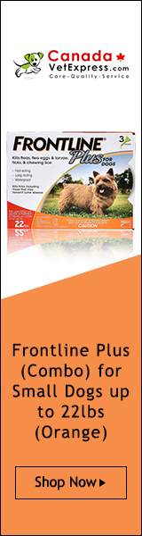 canadavetexpress.com logo