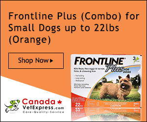 canadavetexpress.com logo