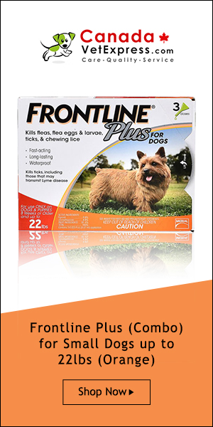 canadavetexpress.com logo