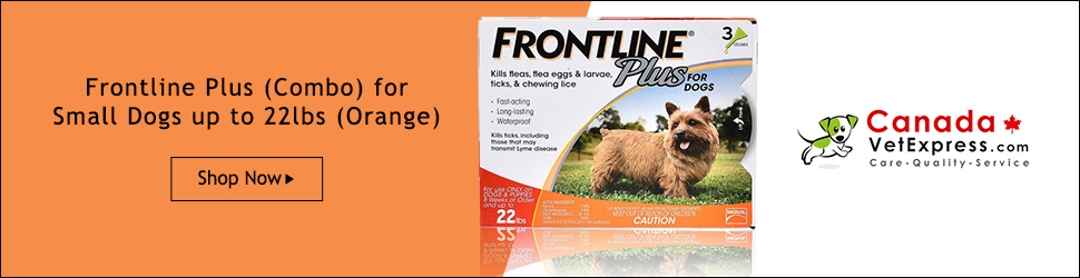 CanadaVetExpress - CVE_FLP_970x250