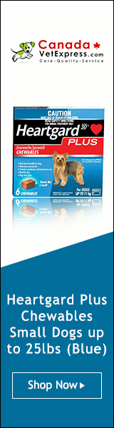 CanadaVetExpress - CVE_Heartgard_160x600