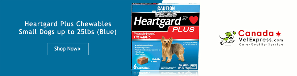 canadavetexpress.com logo