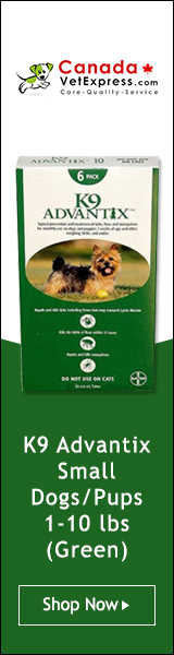 canadavetexpress.com logo