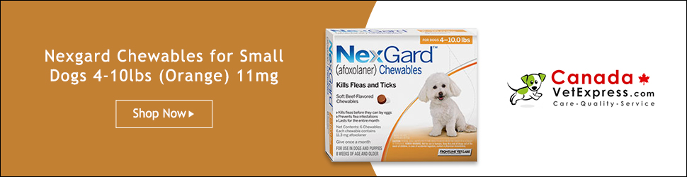 canadavetexpress.com logo