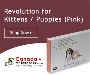 canadavetexpress.com logo