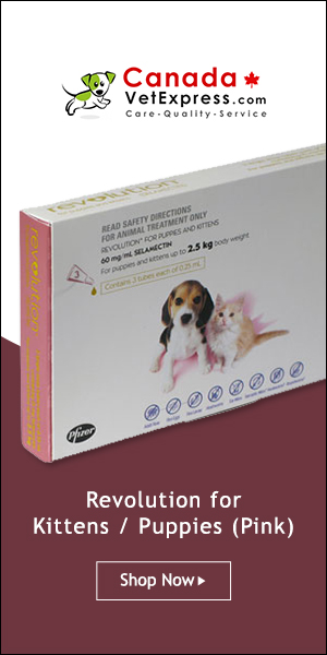 canadavetexpress.com logo