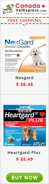 canadavetexpress.com logo